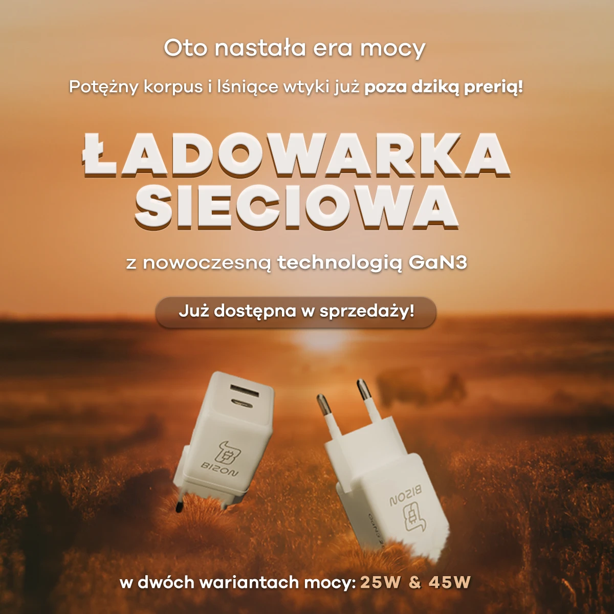 Potężny korpus i lśniące wtyki poza prerią - ładowarki 25W i 45W