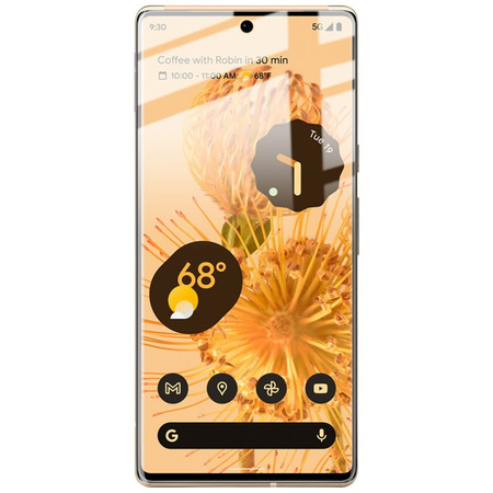 Folia hydrożelowa na ekran Bizon Glass Hydrogel Front Duo do Google Pixel 6 Pro, 2 sztuki