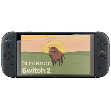 Folia matowa Bizon Glass Tab Film Sun Duo do Nintendo Switch 2, 2 sztuki